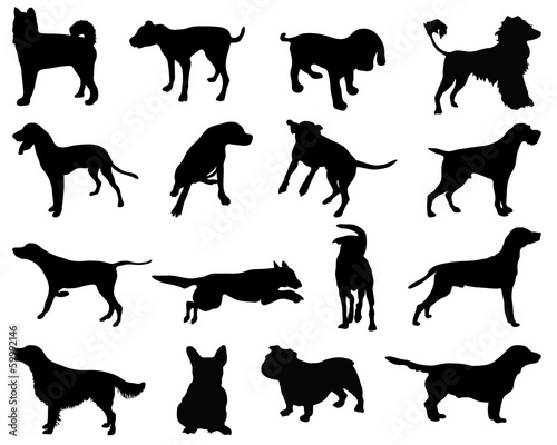 Silhouettes dog breeds, vector