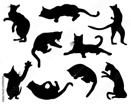 Cats silhouettes in different poses, vector