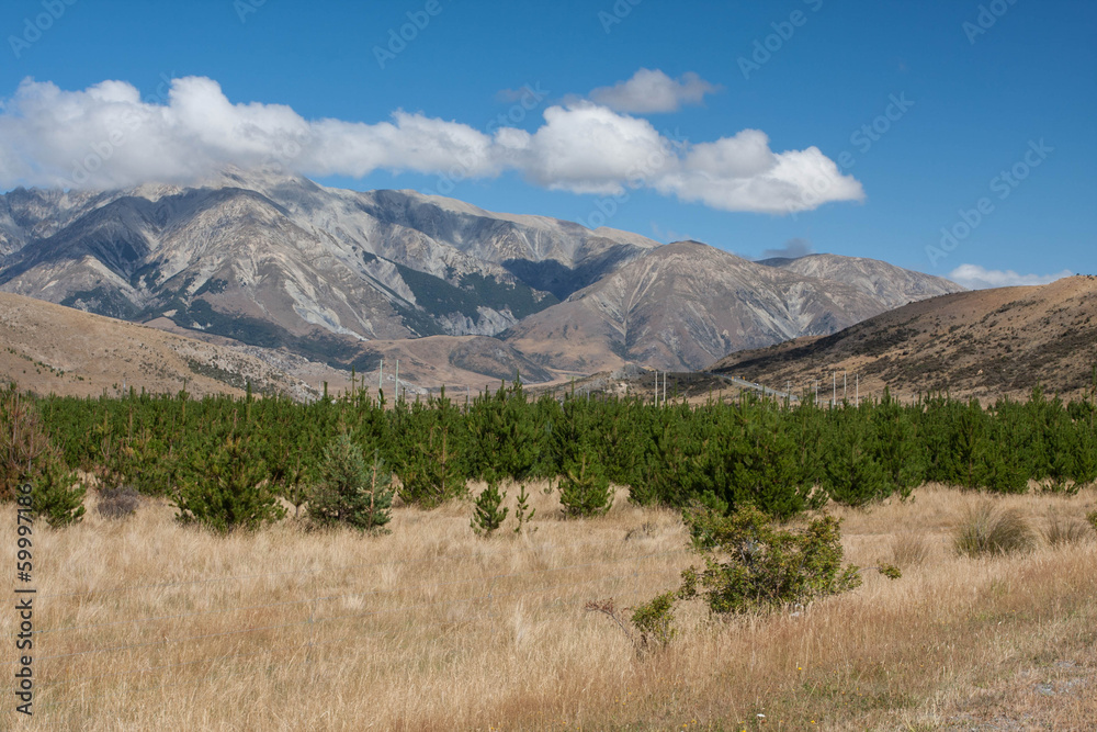 Fototapeta premium New Zeland Landscape