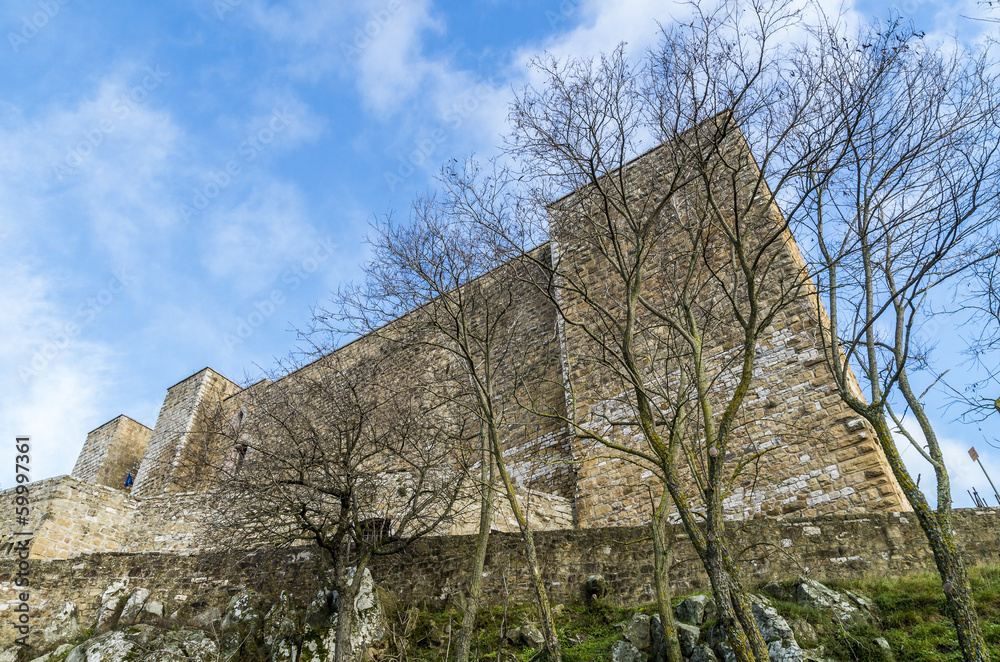 Obraz premium castle