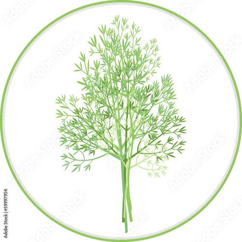 Dill Bunch