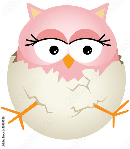 Pink Baby Owl in Egg