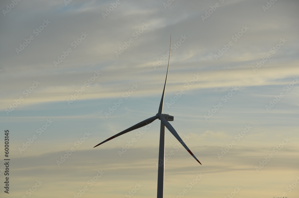 Obraz premium windmill in sardinia