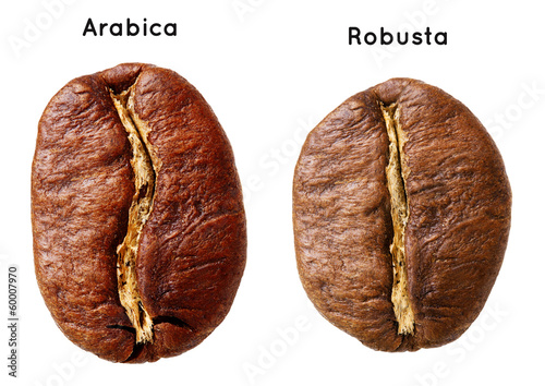 Black arabica, robusta coffee bean isolated on white background. photo