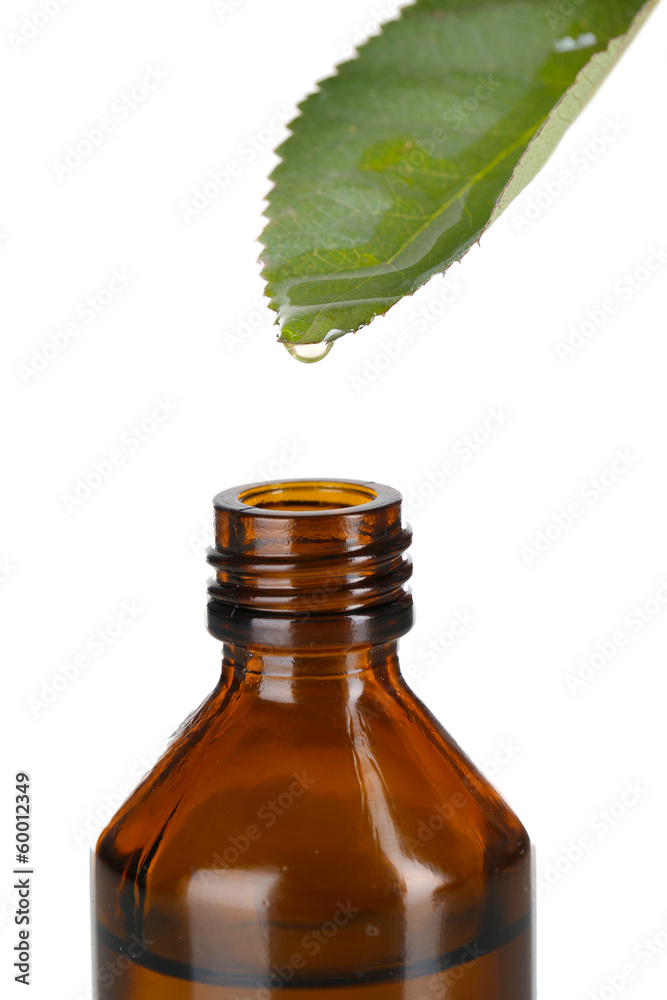 Drop falling from leaf isolated on white Drop falling from leaf isolated on white
