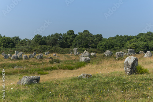 Alignements du Menec (Menhirs, mégalithes, pierres levées), à