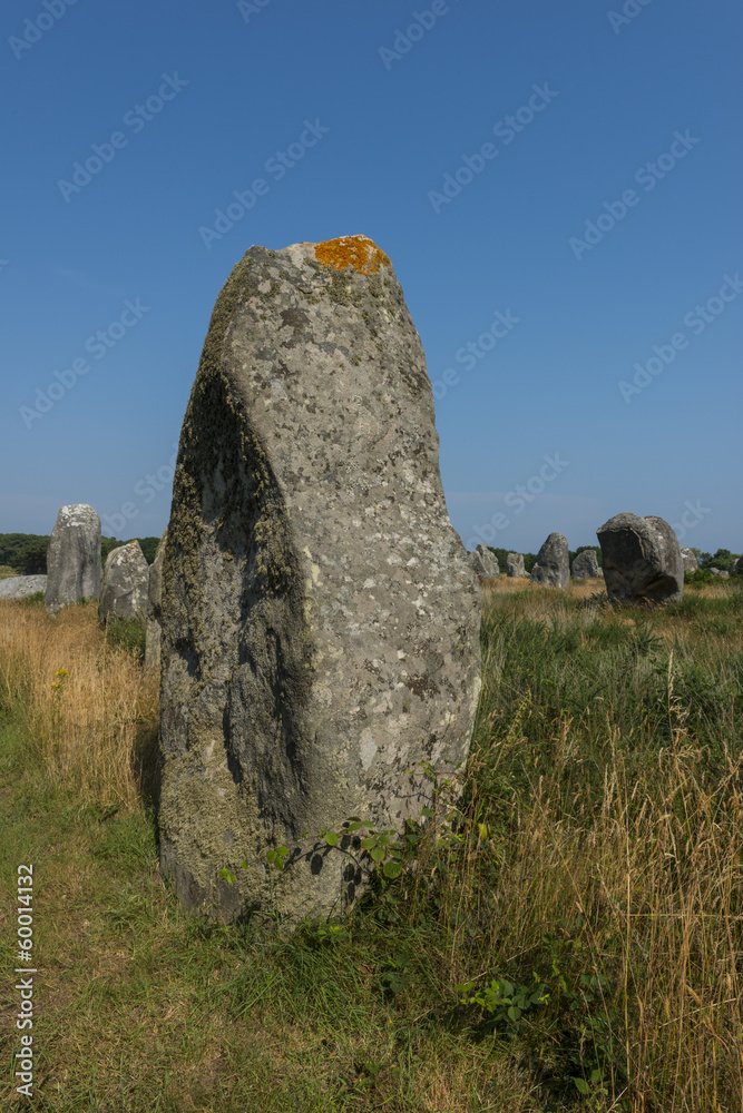 Alignements de Kermario(Menhirs, mégalithes, pierres levées),