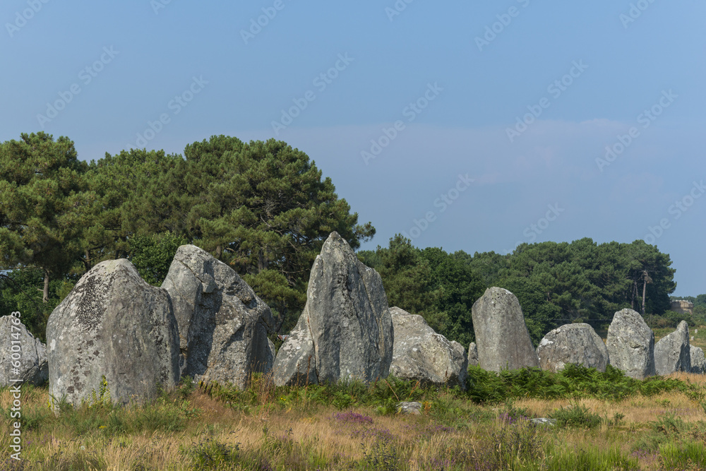 Alignements de Kermario(Menhirs, mégalithes, pierres levées),