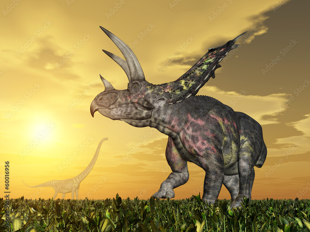 Dinosaur Pentaceratops StockIllustration Adobe Stock