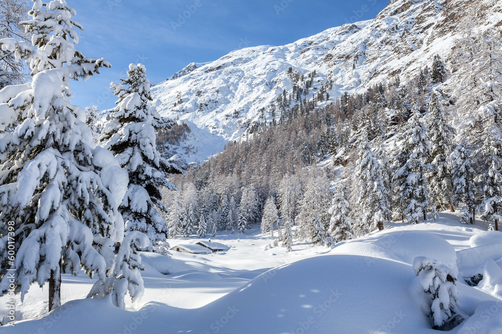 Val Roseg - Engadina - Svizzera