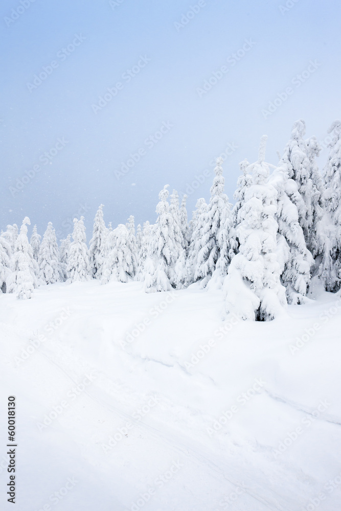 winter landscape, Orlicke Mountains, Czech Republic winter landscape, Orlicke Mountains, Czech Republic