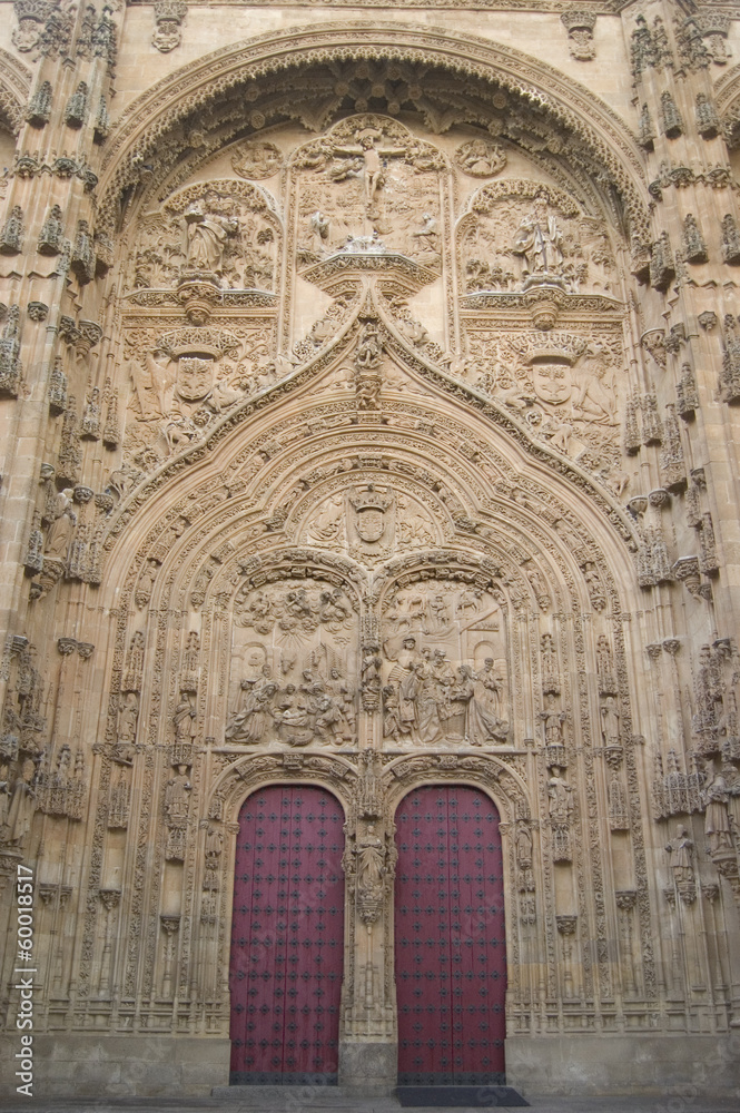 Puerta Catedral de Salamanca