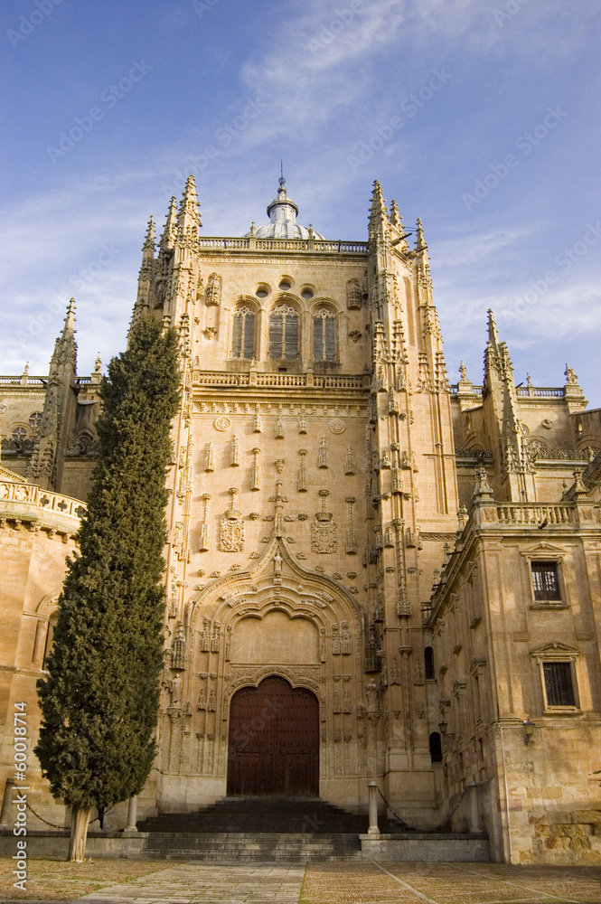 Patio Chico Catedral Salamanca