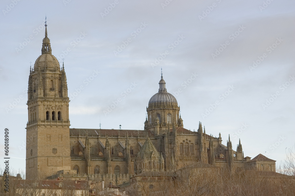 Naklejka premium Catedrales de Salamanca
