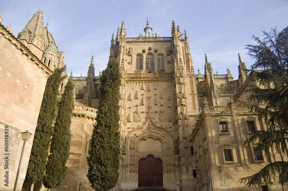 Patio Chico Catedral de Salamanca