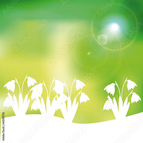 Spring background