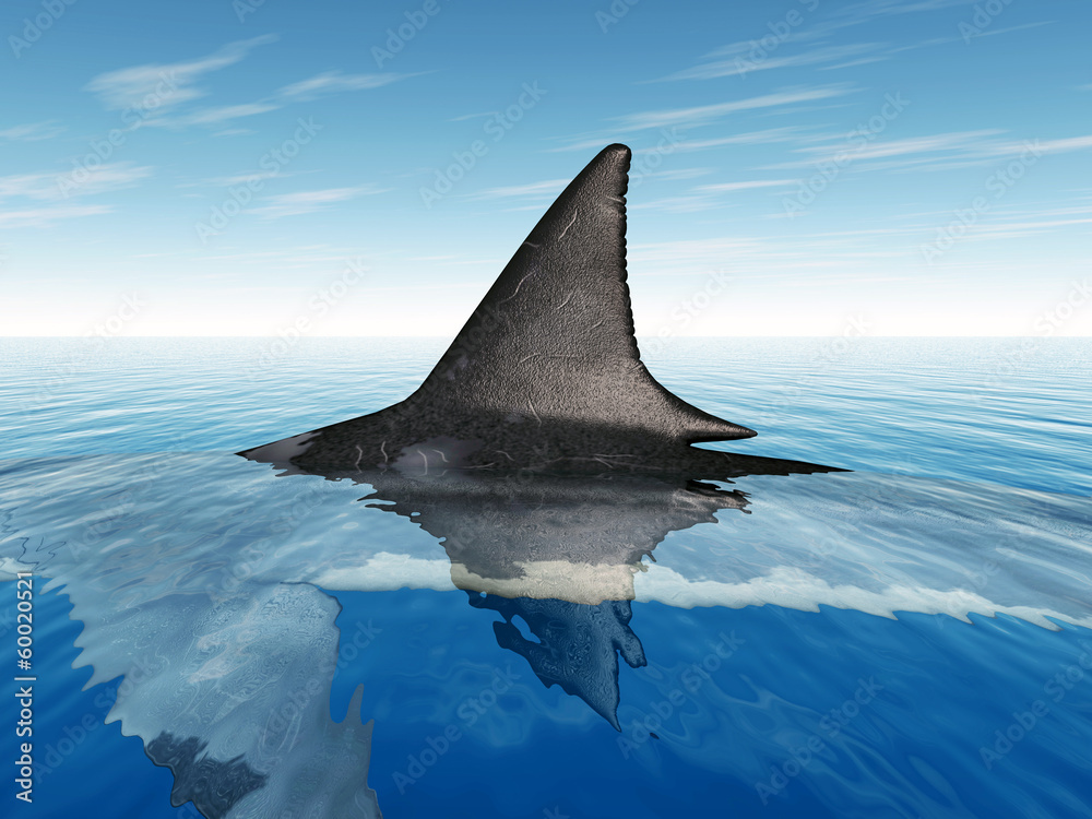 Naklejka premium Great White Shark Fin