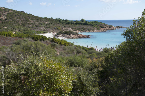 sardegna panorama della spiaggia del principe photo