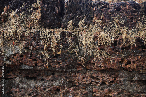 Wallpaper Mural Old laterite stone brick wal Torontodigital.ca