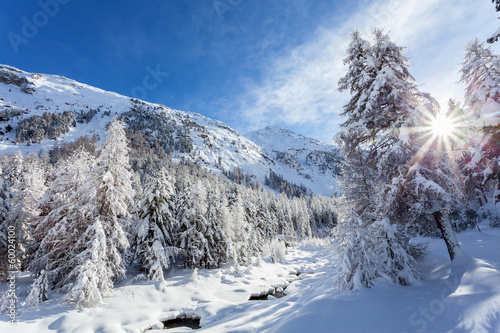 Konstfotografi winter post card