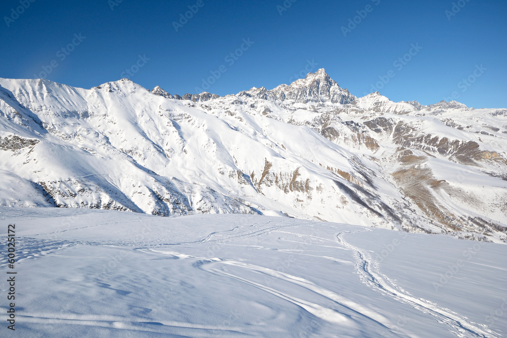 Enjoying powder snow