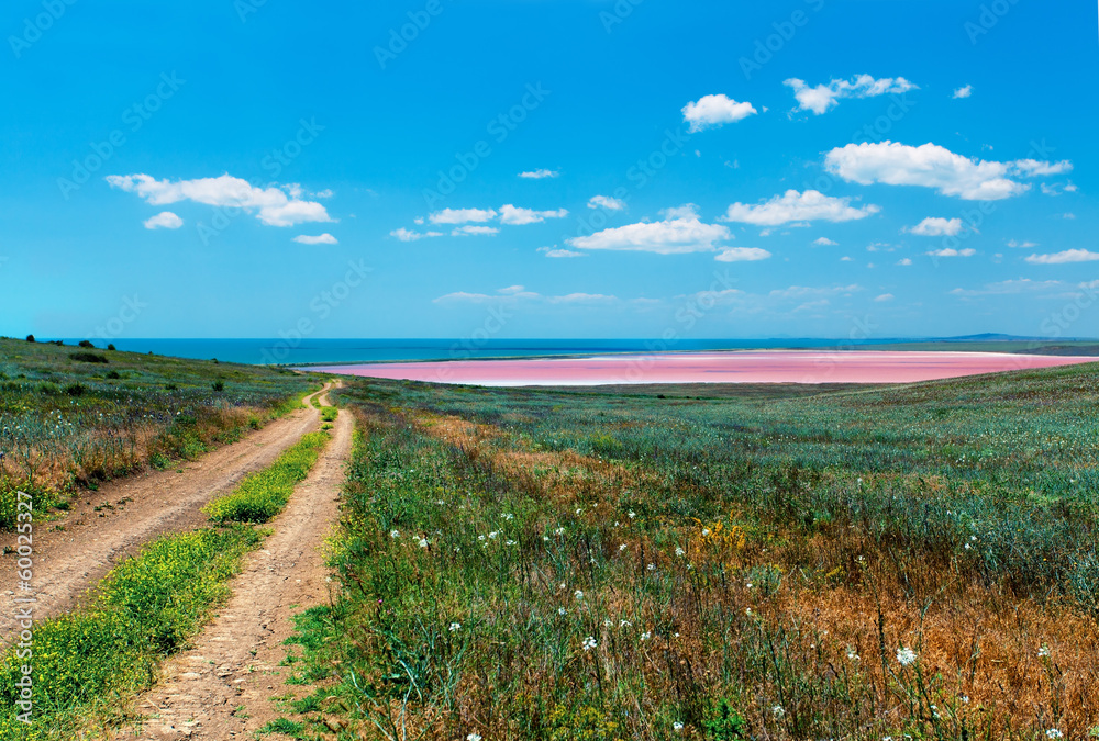Road to the sea coast and pink mud lake