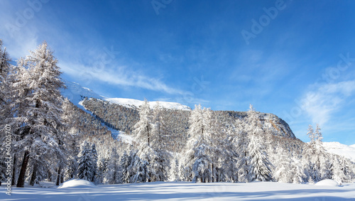 panorama paesaggio alpino innevato