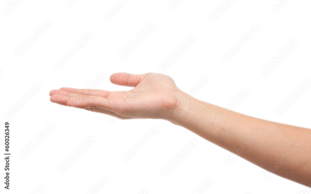empty hand holding isolated on white empty hand holding isolated on white