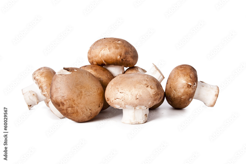 mushrooms and raw mushrooms isolated on white background