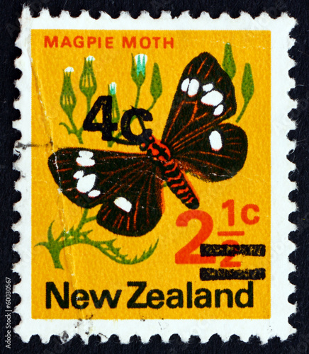 Postage stamp New Zealand 1971 Magpie Moth, Nyctemera, Insect