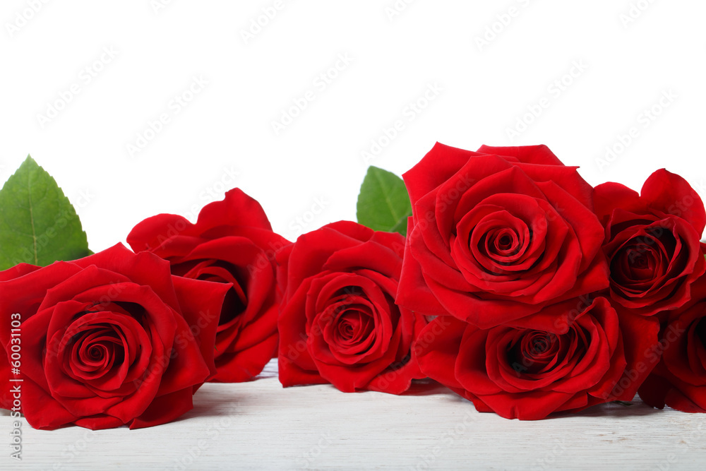 Beautiful red roses - obrazy, fototapety, plakaty 