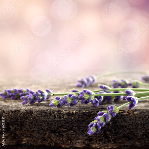 Fototapeta Naklejka Na Ścianę i Meble -  flowers