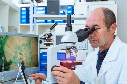 scientist examines biopsy samples photo