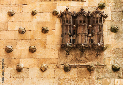 Beautiful Window of Casa de las Conchas