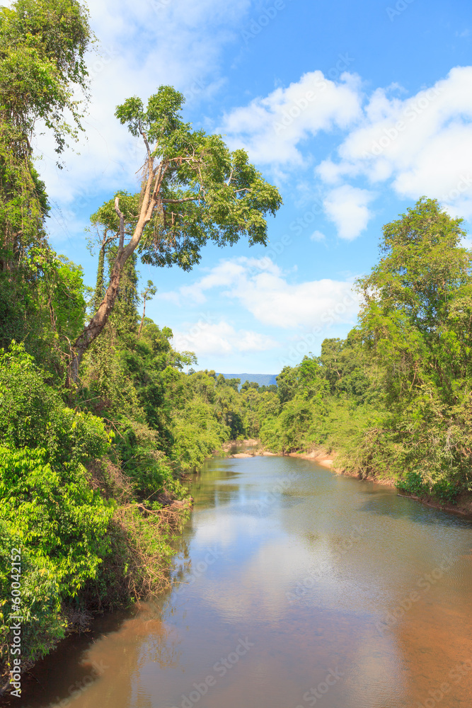 River in forest with blue sky, Khao Yai, Thailand River in forest with blue sky, Khao Yai, Thailand