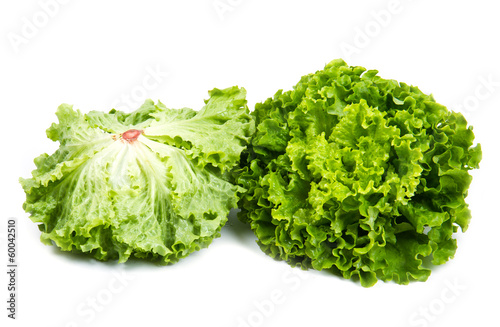 Tableau sur toile insalata verde
