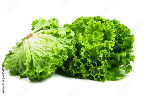 insalata verde photo