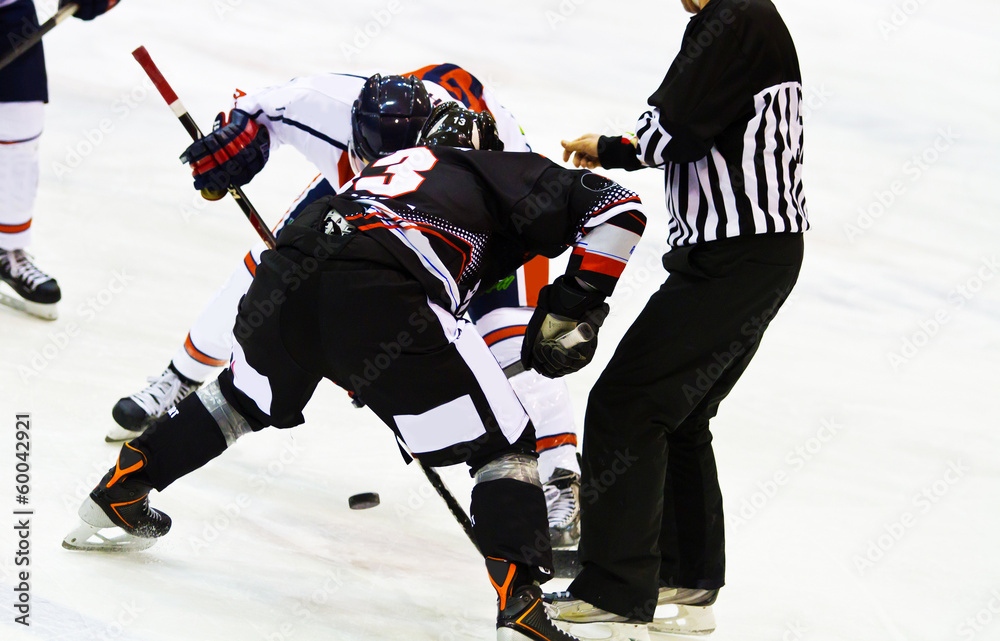 Fototapeta premium ice hockey player