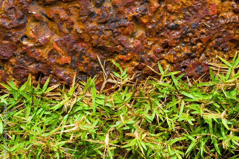 Brown Stone and green grass Brown Stone and green grass