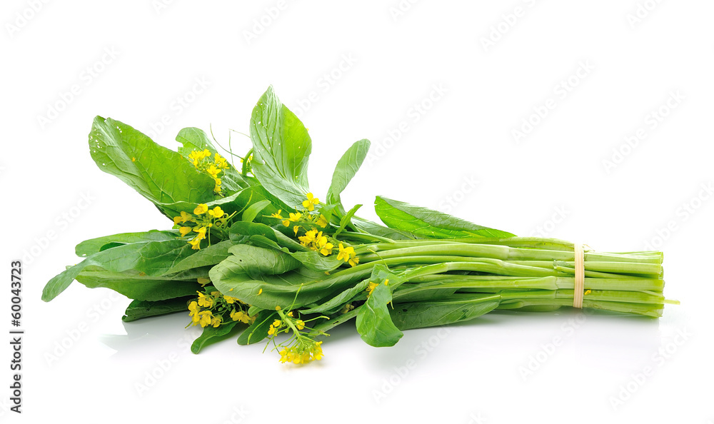 Obraz premium Choy Sum on White Background