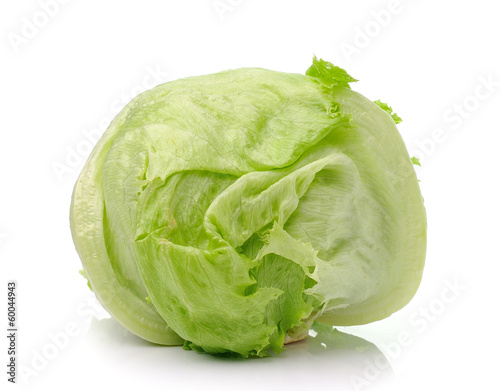 Green Iceberg lettuce on White Background