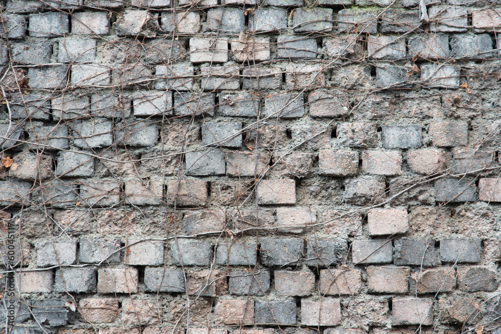 Fototapeta premium old brick wall of gray and pink