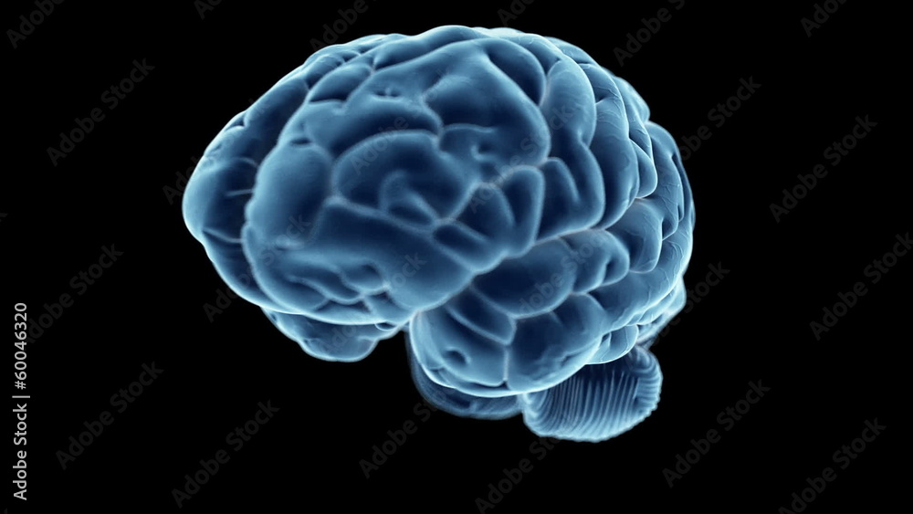 Medical animation of a human brain Medical animation of a human brain