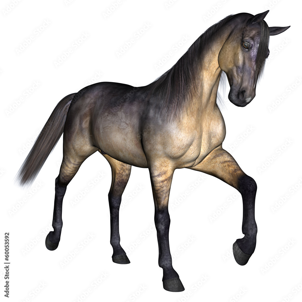 Horse Horse