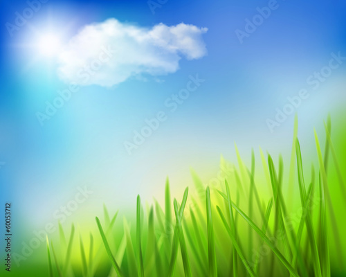 Grass field. Vector illustration.