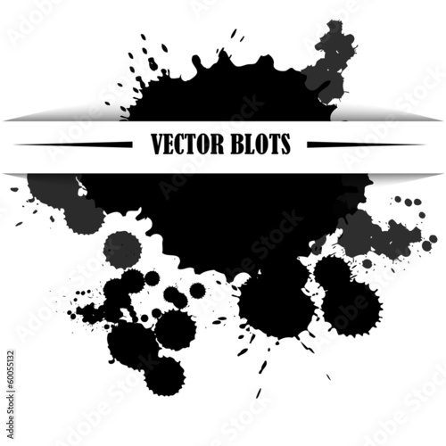 vector blots