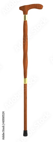realistic 3d render of cane