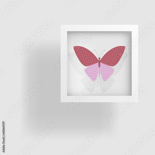 butterfly in the picture and its reflection