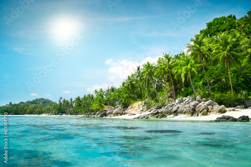 landscape of tropical island © Goinyk