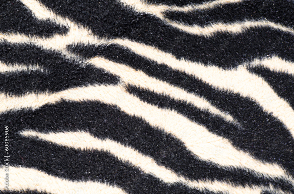Zebra blanket Zebra blanket